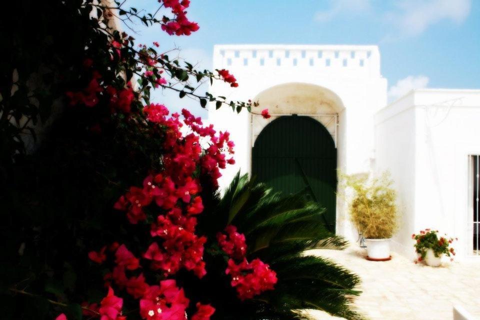 Masseria Boezio Ostuni Bed & Breakfast Torre Santa Sabina Exterior foto