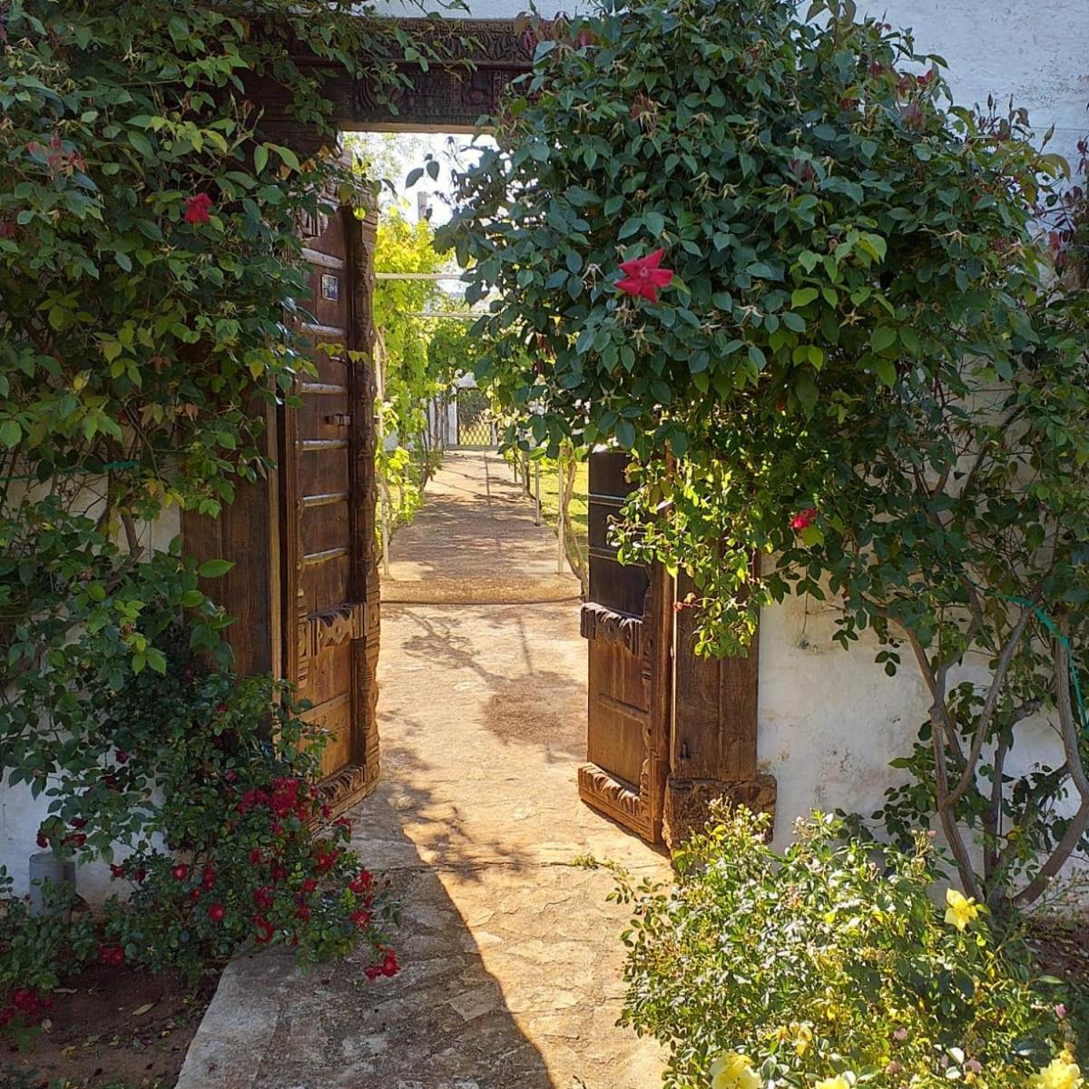 Masseria Boezio Ostuni Bed & Breakfast Torre Santa Sabina Exterior foto